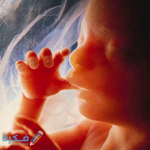 1DAB7495 4614 492B 9181 99639DAA5E4F