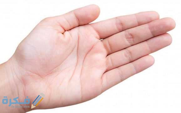 390 HandJPG Qu50 RT1600x1024 OS578x361 RD578x361