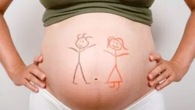 43ED482A F376 4064 99B8 5723EEE2335A