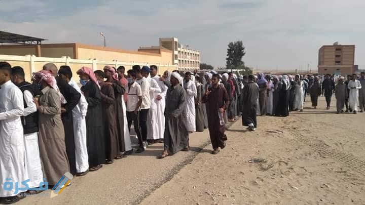 56996 قبائل شمال سيناء أمام اللجان