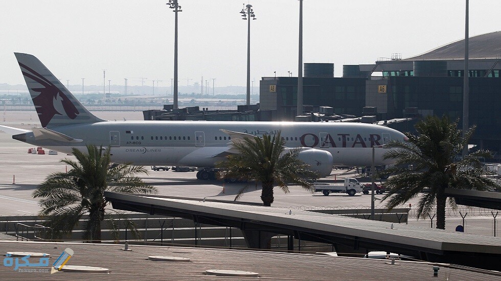 5f98fc3542360457c321b447