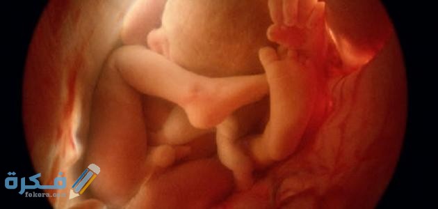 AE3AF754 5219 4639 BDCF 210305D40BAC