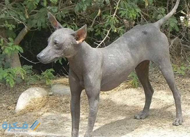 images 2022 01 12T100603.448