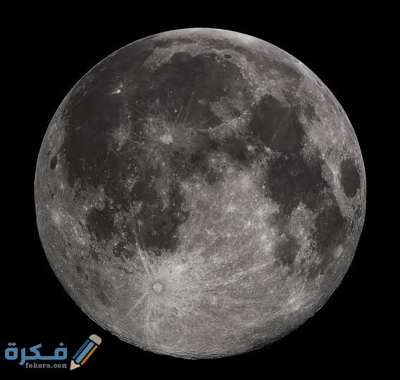 images 2022 01 12T100820.096