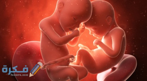 تفسير رؤية الاجهاض بتوأم في المنام 2 tbl articles article 19154 935de9e2c04 cf4e 4368 a327 4b779e284727