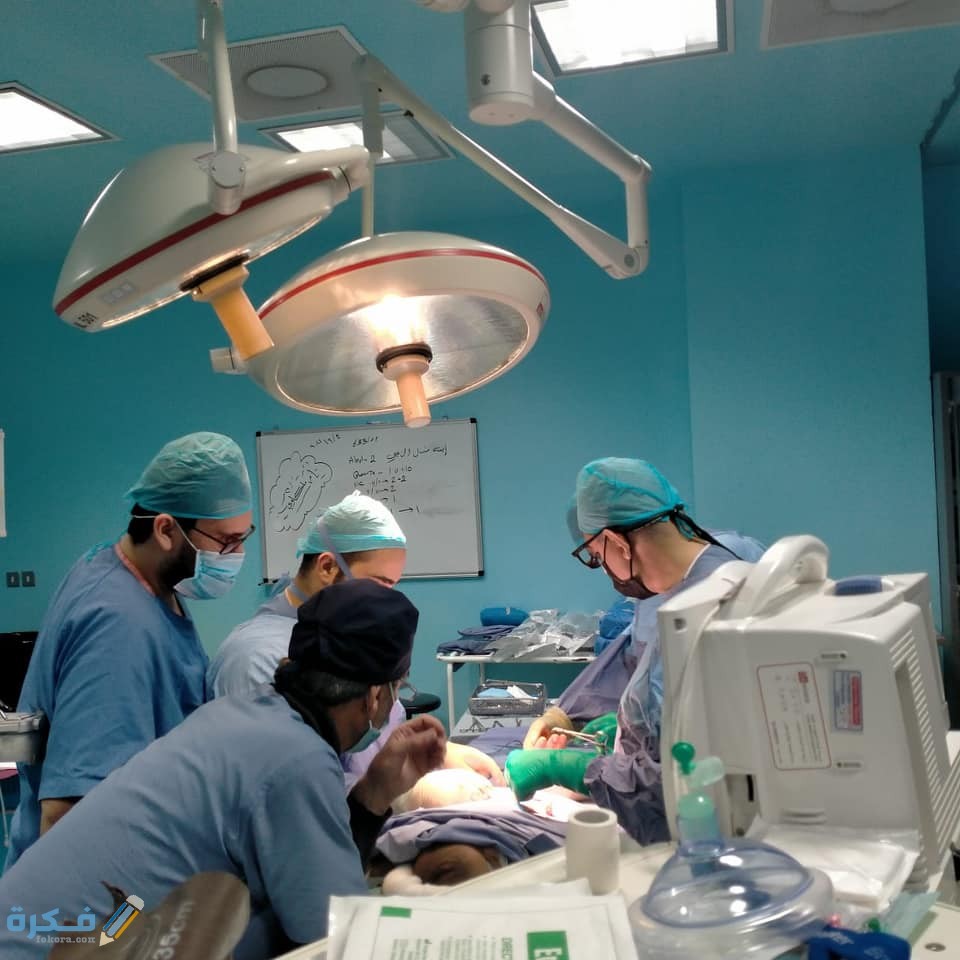 158273788 2247002578776728 1730101022814973533 o 7