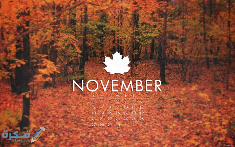 كلام عبارات عن مواليد شهر نوفمبر