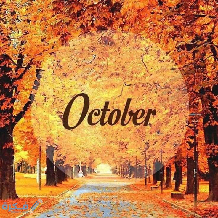 كلام عبارات عن مواليد شهر اكتوبر