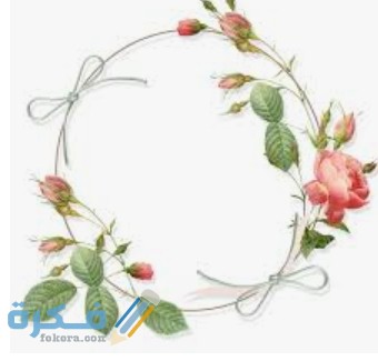 IMG ٢٠٢٢٠٢٠٤ ٢٠٤٣٤٤