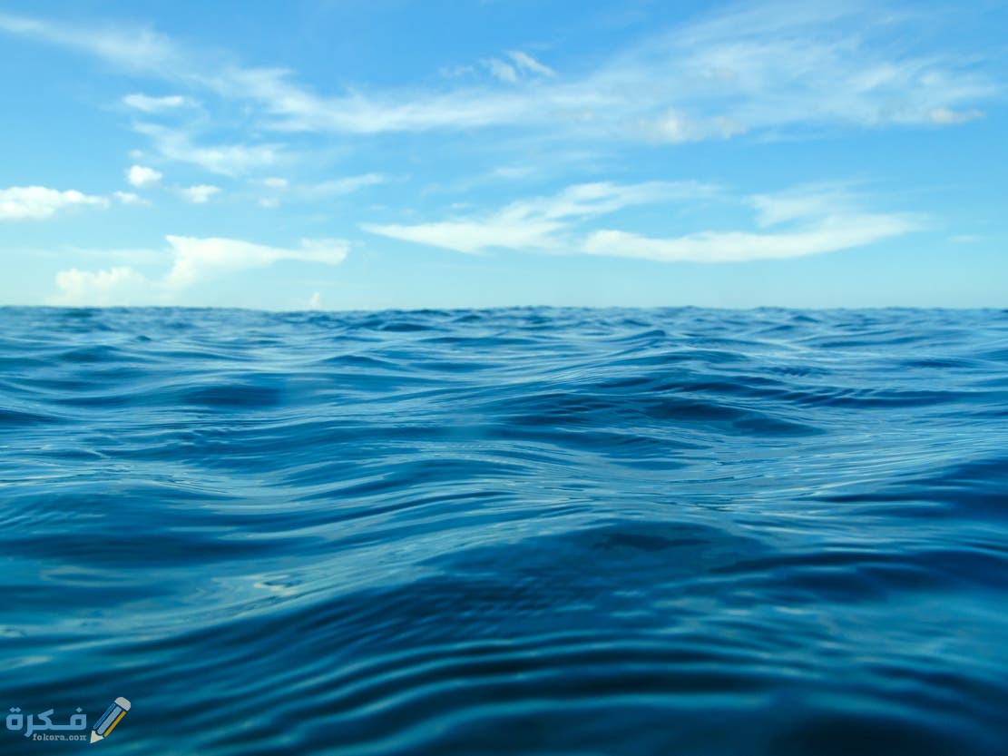 ما هي أكبر المحيطات في العالم