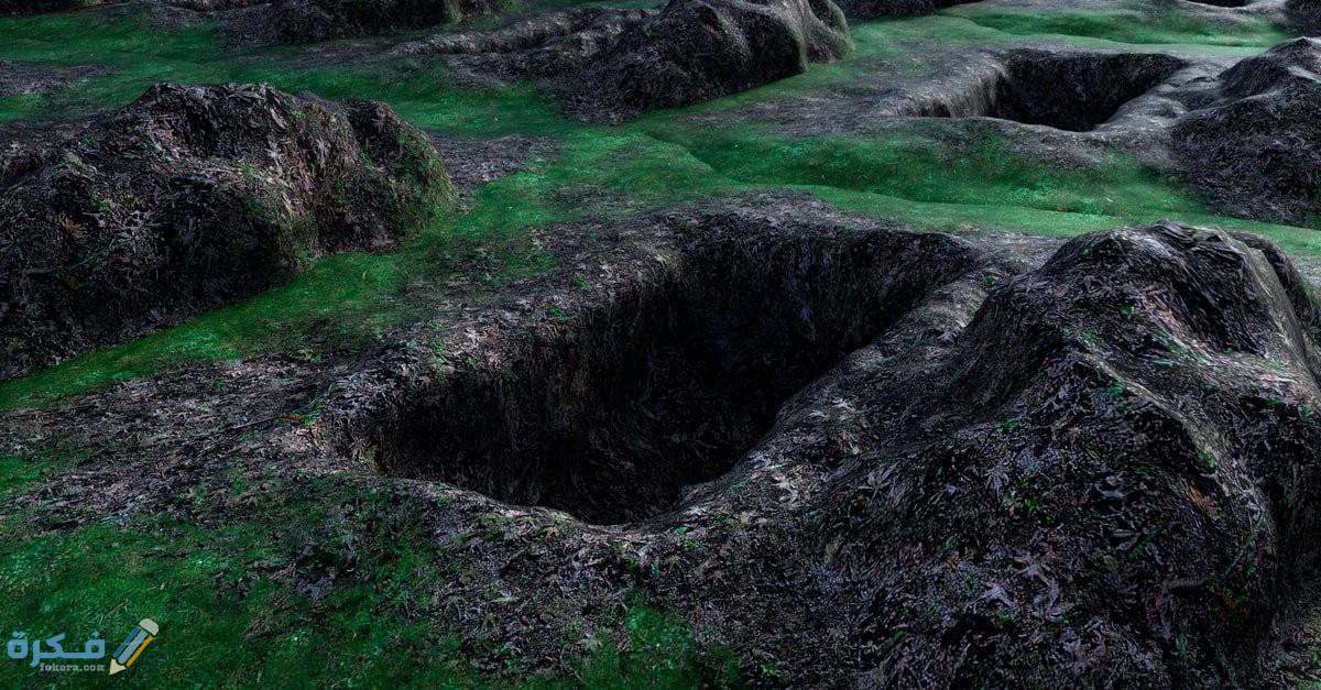 dbnmagdmgeo50 article