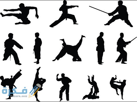 مفهوم الفنون القتالية