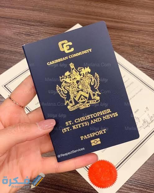 images 2022 02 08T205846.676