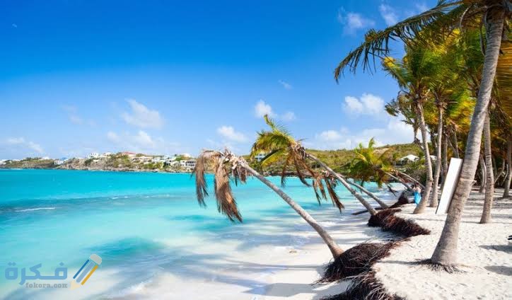 images 2022 02 09T095550.331