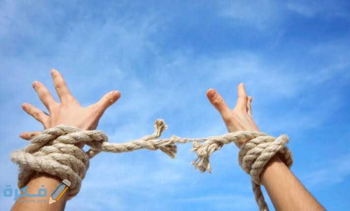 images 2022 02 10T233646.725