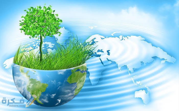 images 2022 02 17T194729.607