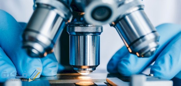 أجزاء المجهر الضوئي