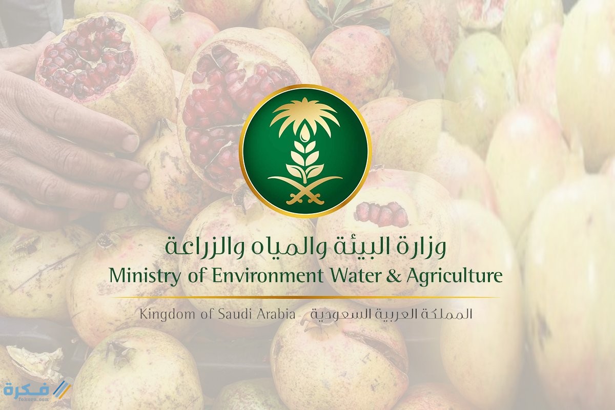 التسجيل في نظام سقيا في السعودية اون لاين 2 التسجيل في نظام سقيا في السعودية اون لاين