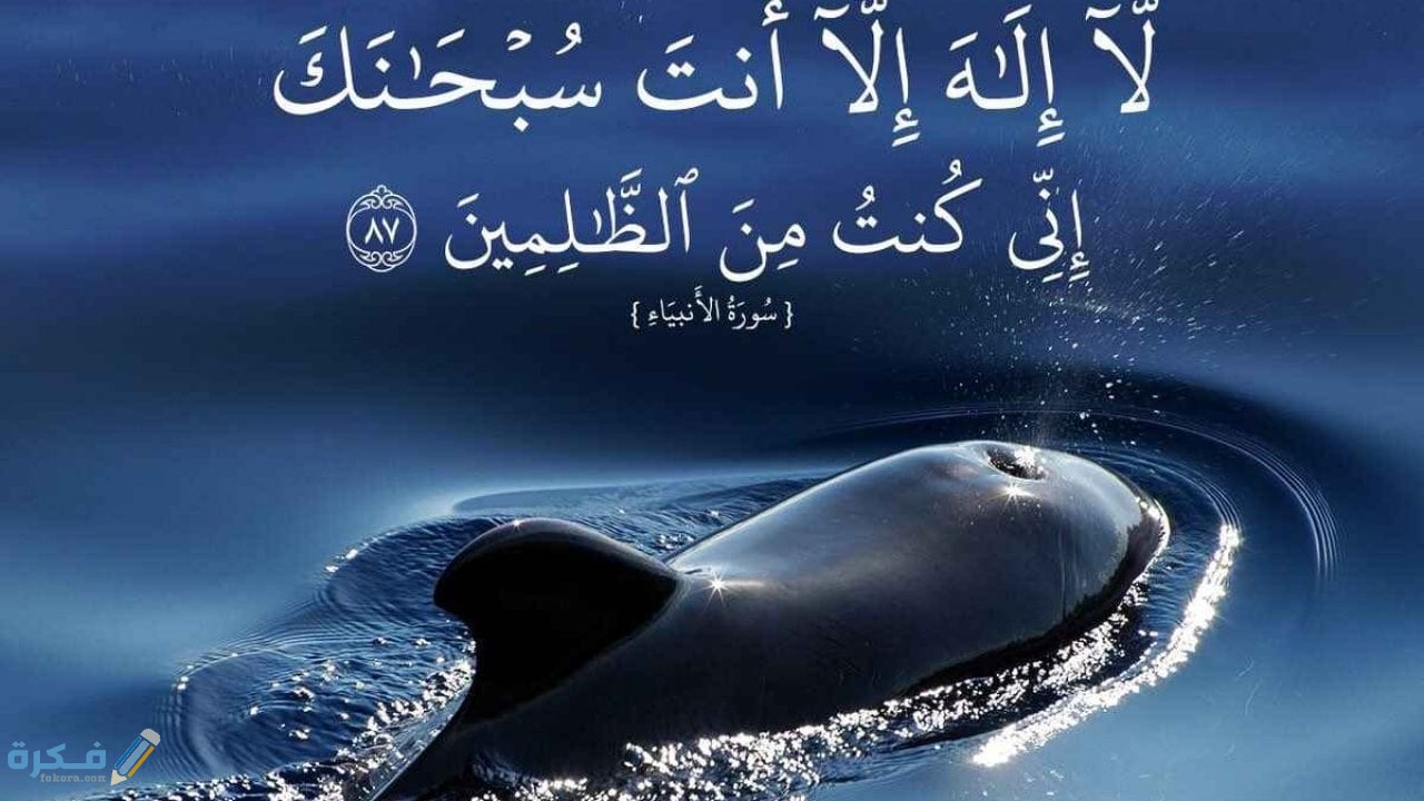 بحث عن سيدنا يونس في بطن الحوت