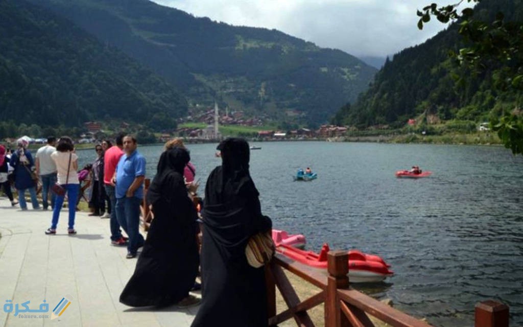 شروط السفر إلى تركيا للسعوديين