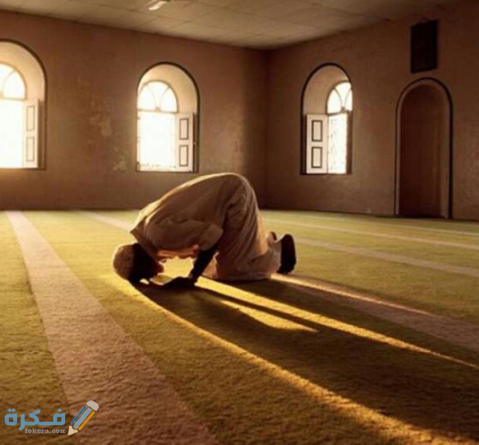 كم عدد ركعات التراويح مع الشفع والوتر