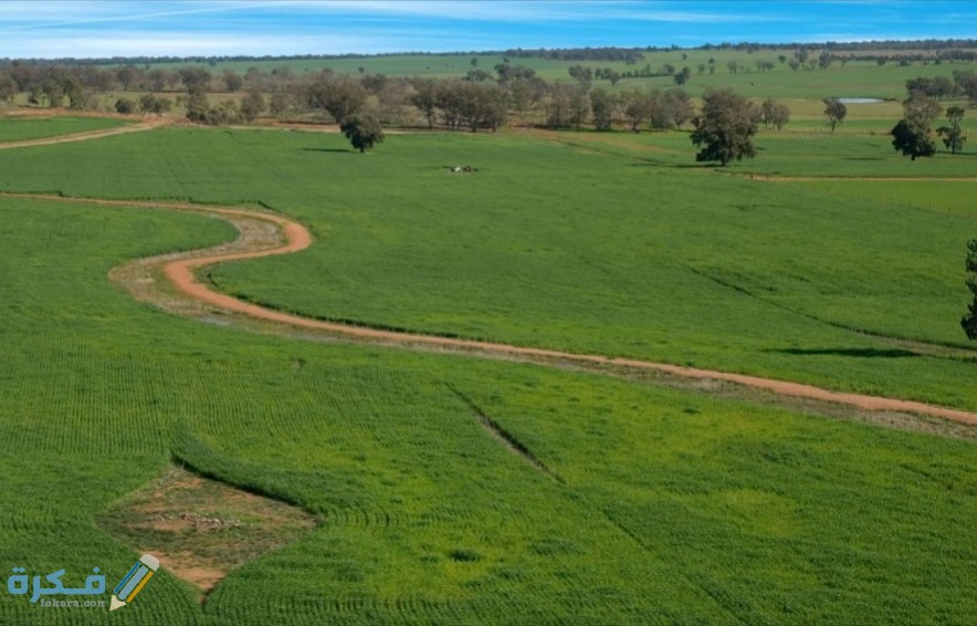 كيف أحسب مساحة الأرض