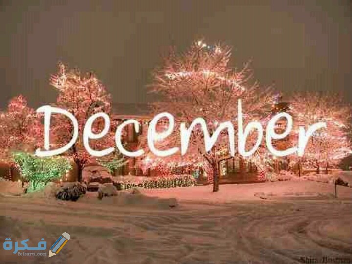 عبارات عن مواليد شهر ديسمبر