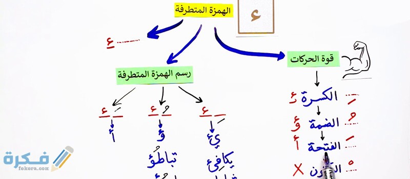 hamza extremist learns 4 cases grammatical rules 6 practical