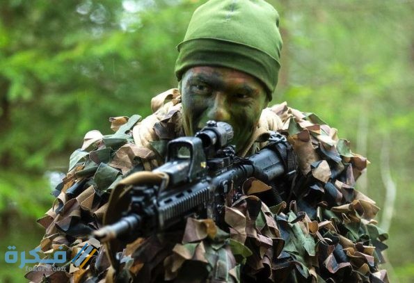 الجيش 595x407 1