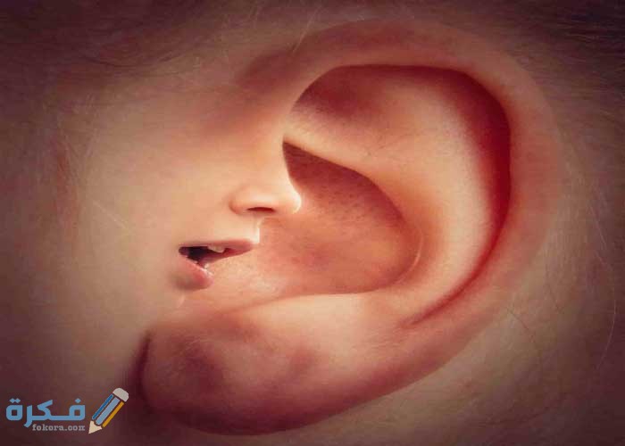 حلم كشف الأسرار