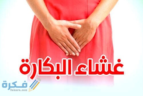 1F57A8A6 2FAE 40CC BE78 6D0E3C4CF5E9