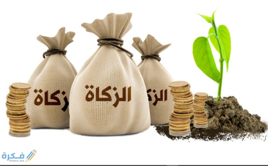 زكاة الفطر البحرين 