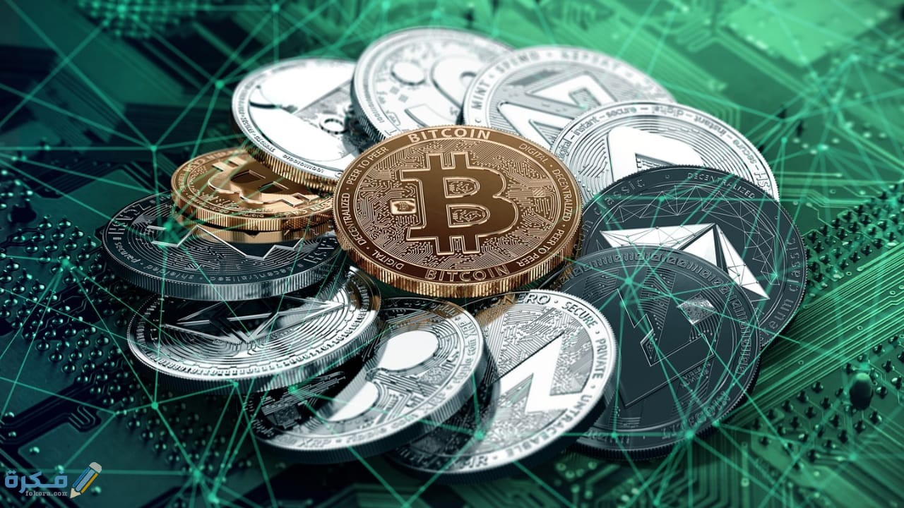 8E77B199 2F85 42B6 AAE9 E3B4536AE003