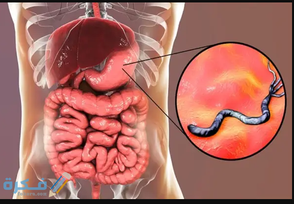 ما هي نسبة تحليل جرثومة المعدة الطبيعية