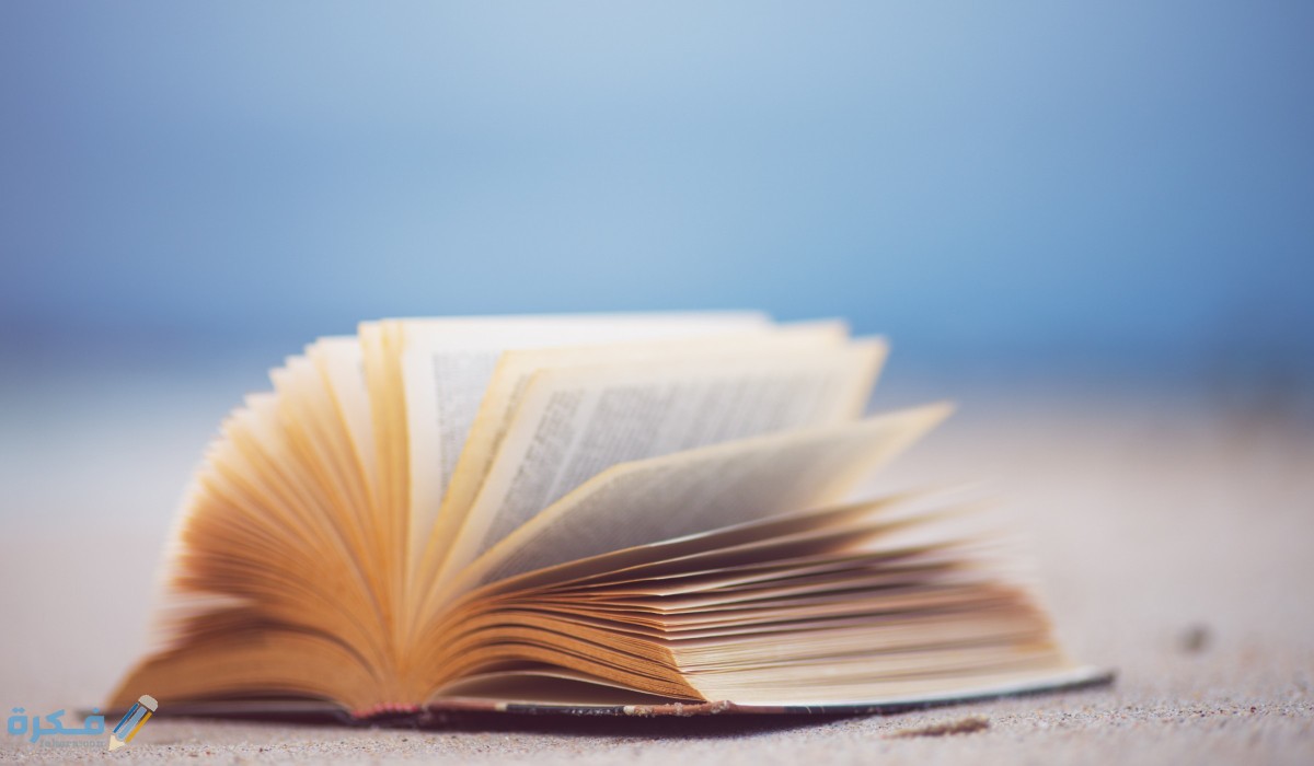 الكتاب في المنام للعزباء