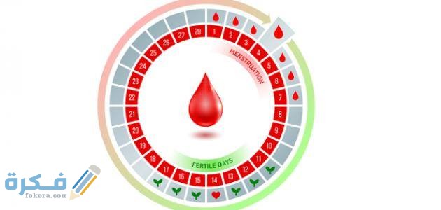 جدول الأيام التي يحدث فيها الحمل 9 ماهي الأيام التي يحدث فيها الحمل بعد الدورة الشهرية 1