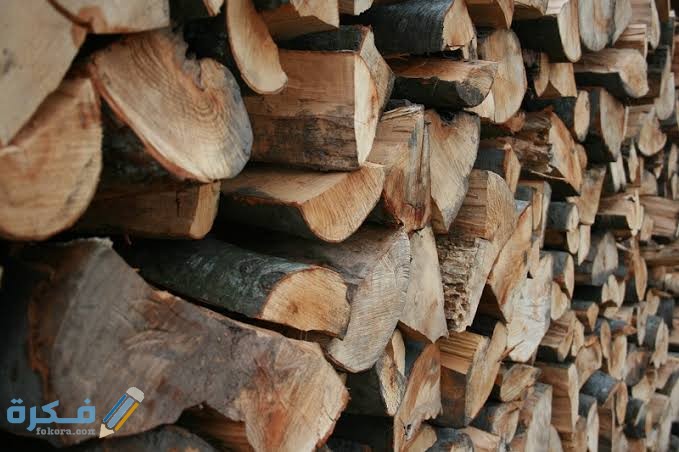 images 2022 05 17T233804.927