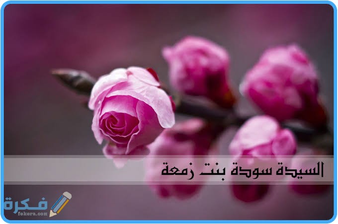 images 2022 05 25T094903.729