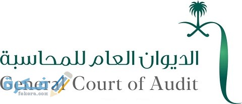 برامج الديوان العام للمحاسبة للموظفين الجديد