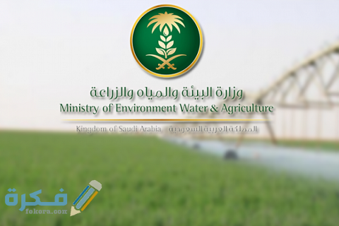 طريقة الحصول على دعم صغار مربي الماشية في تمهير