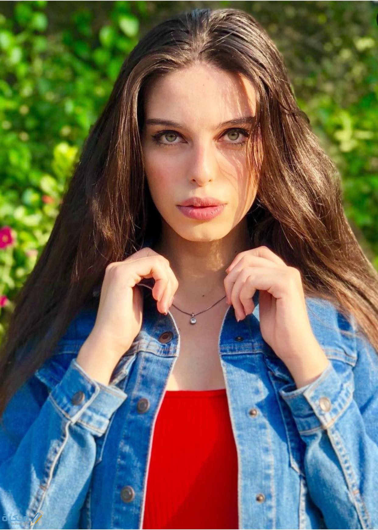 19D88F30 D3D1 4813 99B0 F5AAD538A696