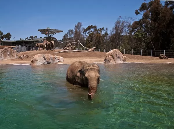 1D71985E 7E7F 43BF AF8E B487968541A1