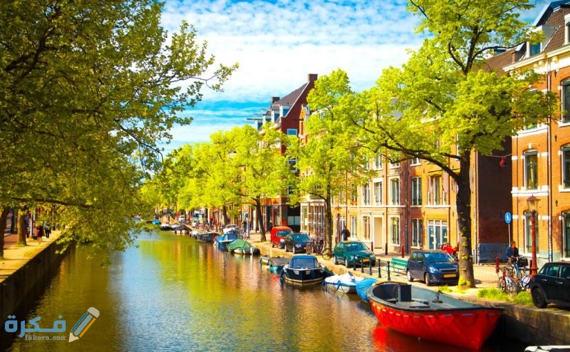 2DFFC9F9 9E67 44D1 BA98 7622B0D4D94C