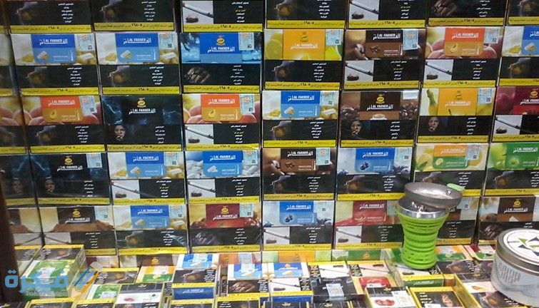 أفضل أنواع المعسل في مصر