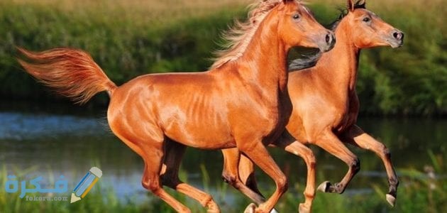 E292A8F7 ACD7 4537 B366 6A0D564B9683