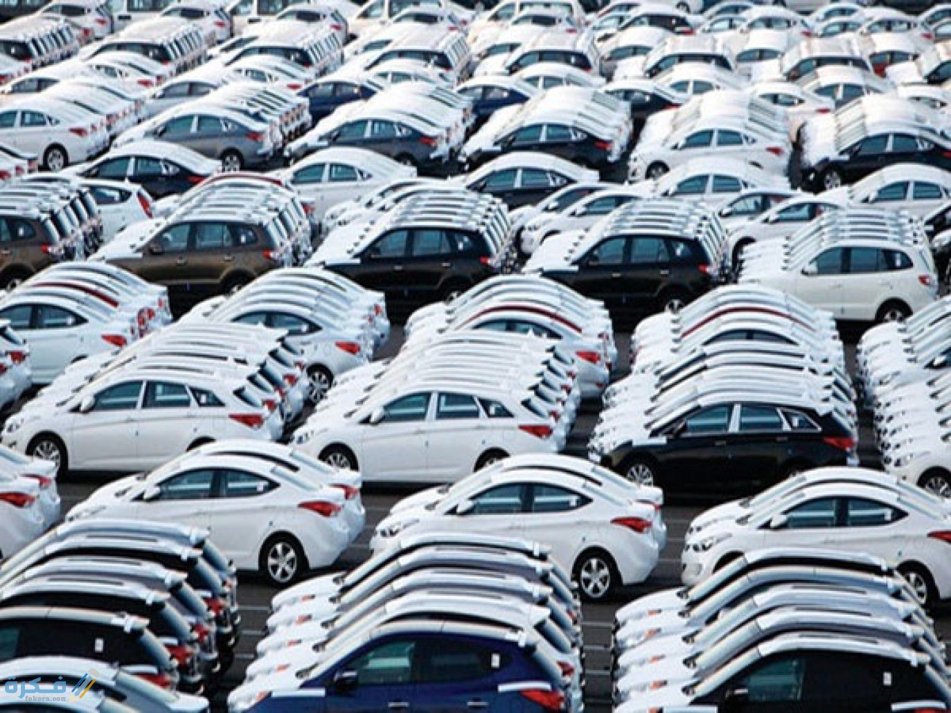 E77F89B2 2D8D 487C BF0F 261165B2788E