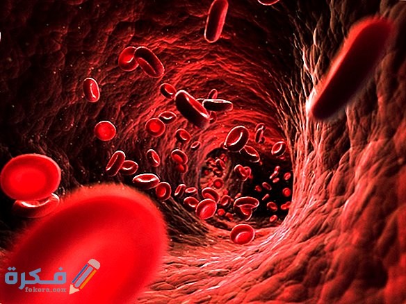 كم عدد لترات الدم في جسم الإنسان