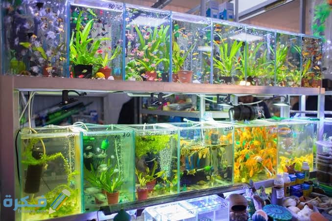 images 2022 06 04T073206.322