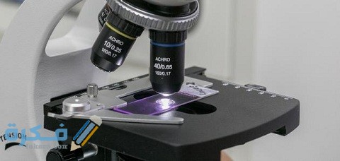 أجزاء المجهر الضوئي المركب ووظائفه