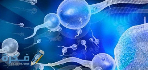 أضرار حبس السائل المنوي